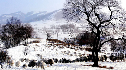 <b>冬日壩上-莫益超老師</b>