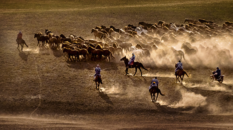 <b>金秋壩上-黃樂明</b>