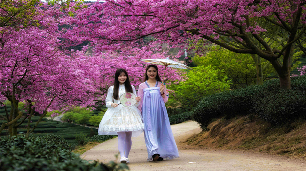 歐陽(yáng)百鳴老師——龍巖永福櫻花園作品欣賞