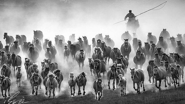 金秋壩上--張鈞良老師