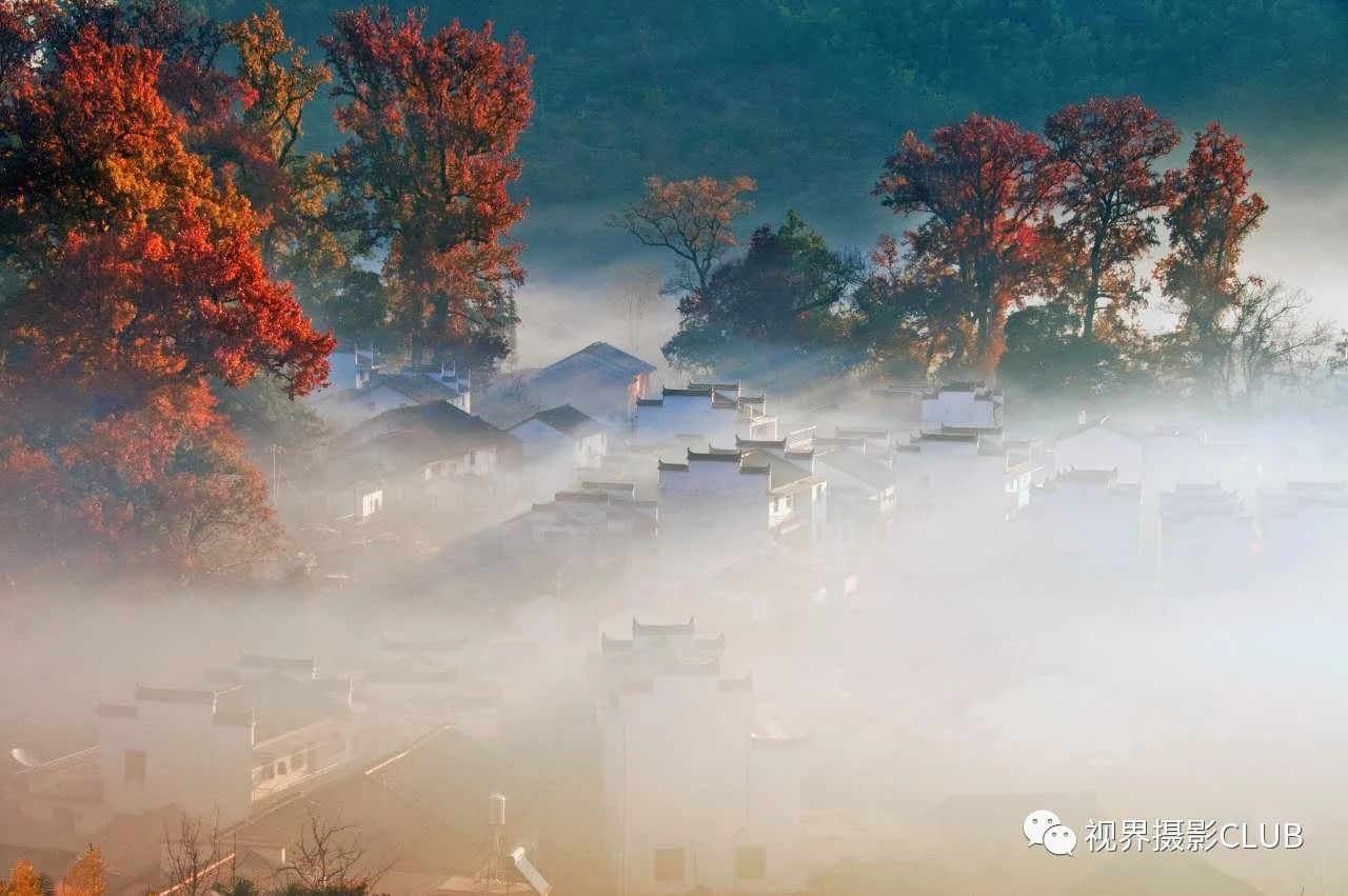 皖南秋色”婺源石城紅楓、燈籠柿之鄉(xiāng)6天攝影