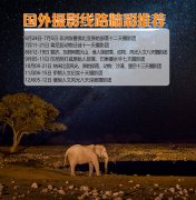 2020年全年攝影路線